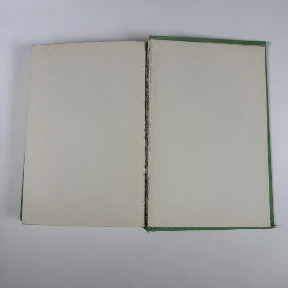 Beautiful Joe by Marshall Saunders 1920 Antique book